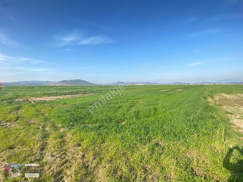 Foça Yeni Bağarası'nda Yatırımlık 223m² Arsa - Araç Takaslı — fotoğraf 11