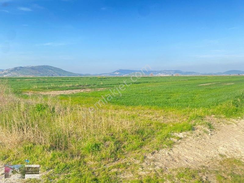 Foça Yeni Bağarası'nda Yatırımlık 223m² Arsa - Araç Takaslı — fotoğraf 12
