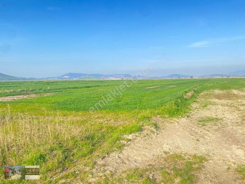 Foça Yeni Bağarası'nda Yatırımlık 223m² Arsa - Araç Takaslı — fotoğraf 13