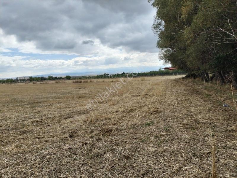 Merkez Yakını 6.953 M² Meyve Bahçesi Ve Hobi Kullanımına Uygun. — fotoğraf 5