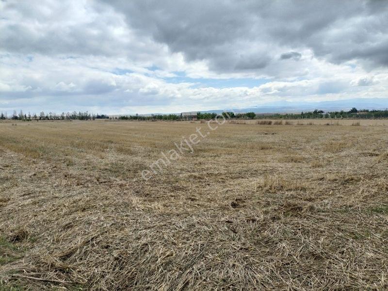 Merkez Yakını 6.953 M² Meyve Bahçesi Ve Hobi Kullanımına Uygun. — fotoğraf 6