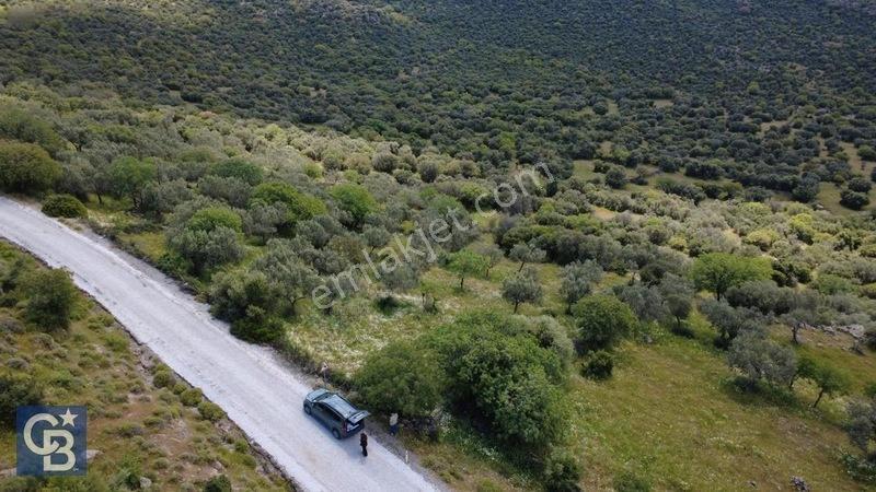 Hacıömerlide Satılık 20.000M2 Yola Cephe Satılık Arazi