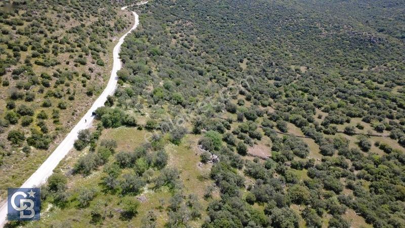 Hacıömerlide Satılık 20.000m2 Yola Cephe Satılık Arazi — fotoğraf 2