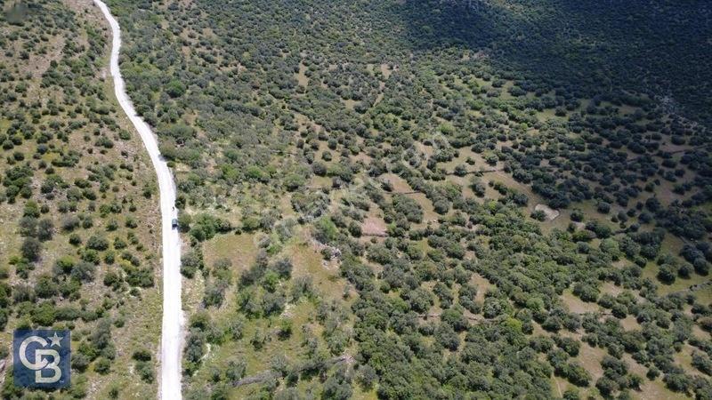 Hacıömerlide Satılık 20.000m2 Yola Cephe Satılık Arazi — fotoğraf 3