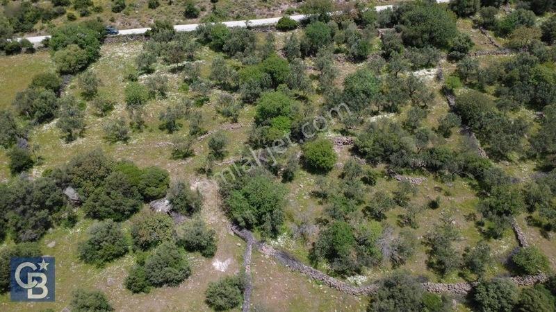 Hacıömerlide Satılık 20.000m2 Yola Cephe Satılık Arazi — fotoğraf 4
