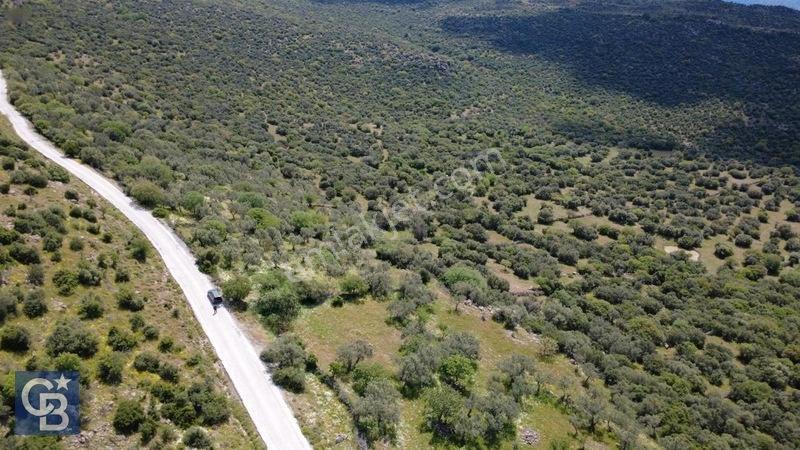 Hacıömerlide Satılık 20.000m2 Yola Cephe Satılık Arazi — fotoğraf 5