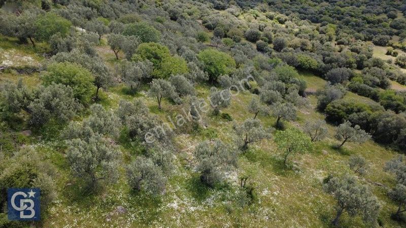 Hacıömerlide Satılık 20.000m2 Yola Cephe Satılık Arazi — fotoğraf 6