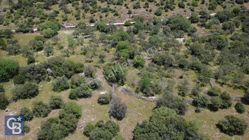 Hacıömerlide Satılık 20.000m2 Yola Cephe Satılık Arazi — fotoğraf 7