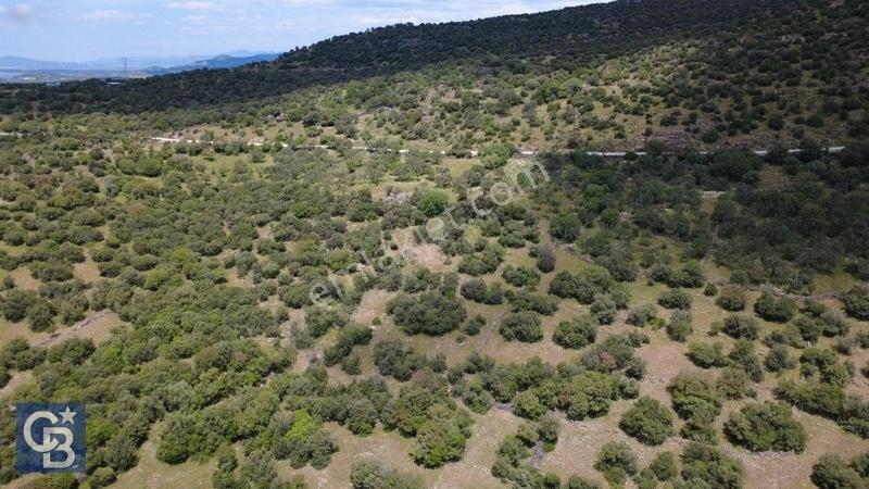 Hacıömerlide Satılık 20.000m2 Yola Cephe Satılık Arazi — fotoğraf 8