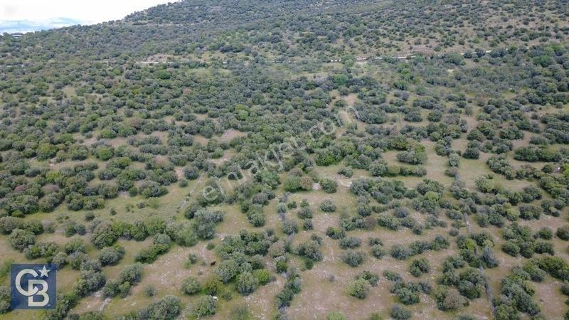 Hacıömerlide Satılık 20.000m2 Yola Cephe Satılık Arazi — fotoğraf 9