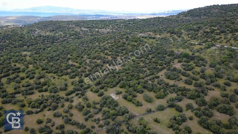 Hacıömerlide Satılık 20.000m2 Yola Cephe Satılık Arazi — fotoğraf 10