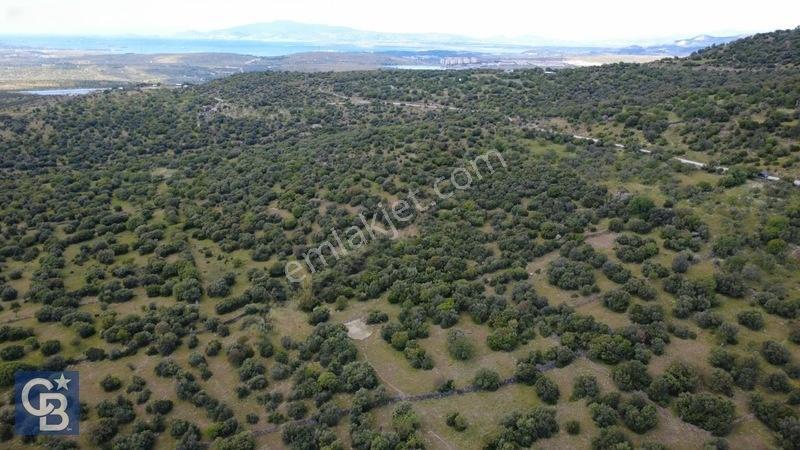 Hacıömerlide Satılık 20.000m2 Yola Cephe Satılık Arazi — fotoğraf 11