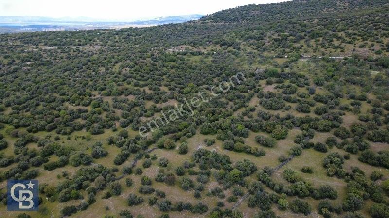 Hacıömerlide Satılık 20.000m2 Yola Cephe Satılık Arazi — fotoğraf 12