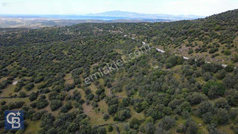 Hacıömerlide Satılık 20.000m2 Yola Cephe Satılık Arazi — fotoğraf 13