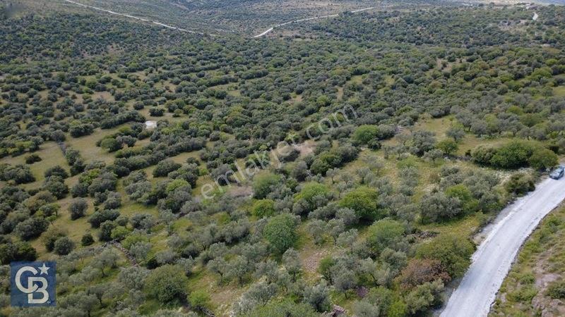 Hacıömerlide Satılık 20.000m2 Yola Cephe Satılık Arazi — fotoğraf 14
