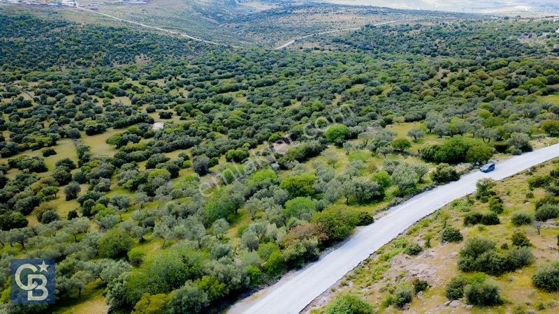 Hacıömerlide Satılık 20.000m2 Yola Cephe Satılık Arazi — fotoğraf 15