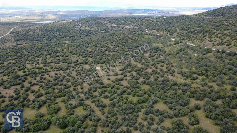 Hacıömerlide Satılık 20.000m2 Yola Cephe Satılık Arazi — fotoğraf 16