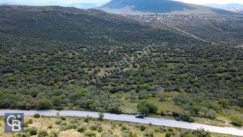 Hacıömerlide Satılık 20.000m2 Yola Cephe Satılık Arazi — fotoğraf 17