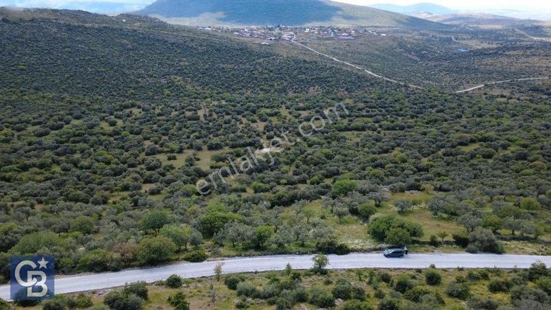 Hacıömerlide Satılık 20.000m2 Yola Cephe Satılık Arazi — fotoğraf 18