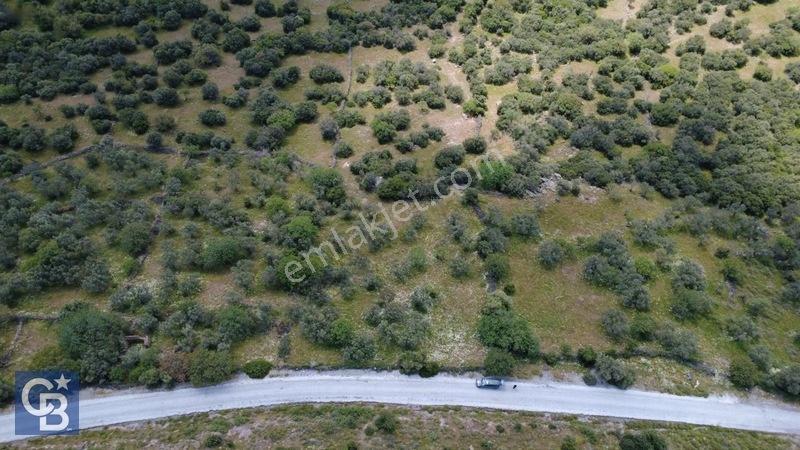 Hacıömerlide Satılık 20.000m2 Yola Cephe Satılık Arazi — fotoğraf 19