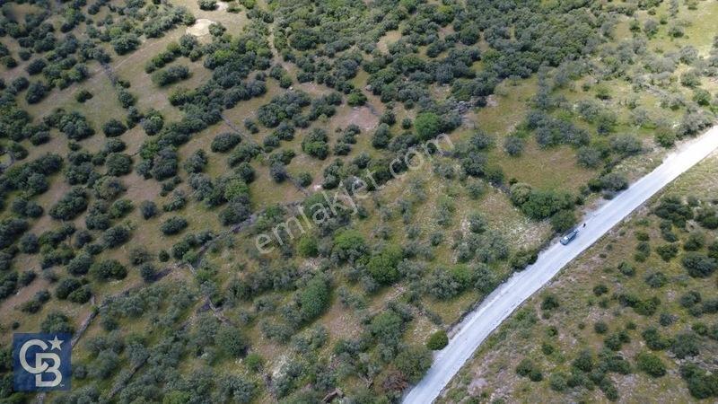 Hacıömerlide Satılık 20.000m2 Yola Cephe Satılık Arazi — fotoğraf 20