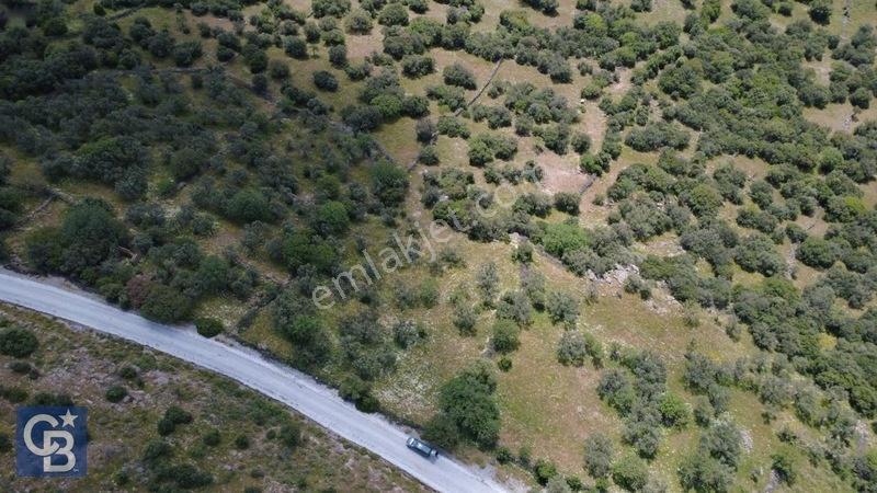 Hacıömerlide Satılık 20.000m2 Yola Cephe Satılık Arazi — fotoğraf 22