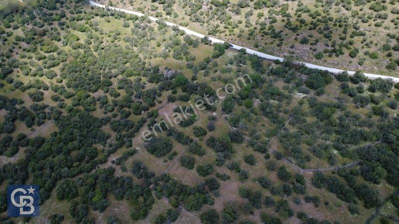 Hacıömerlide Satılık 20.000m2 Yola Cephe Satılık Arazi — fotoğraf 24