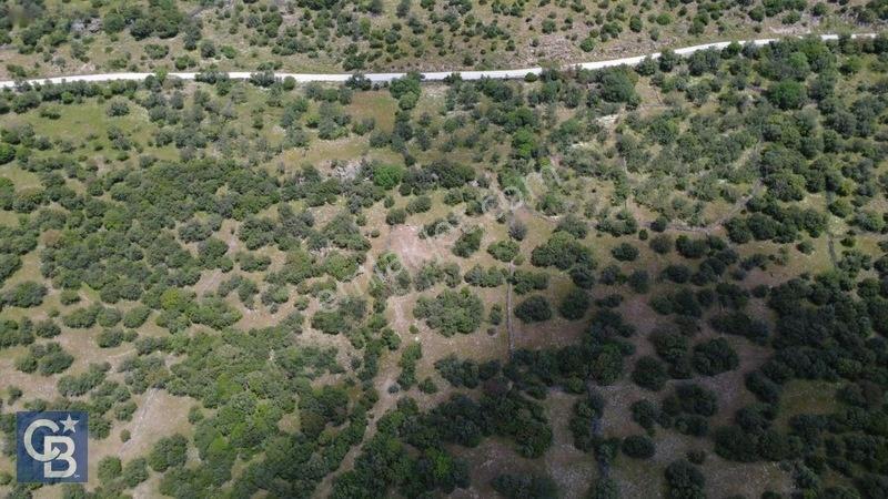 Hacıömerlide Satılık 20.000m2 Yola Cephe Satılık Arazi — fotoğraf 26