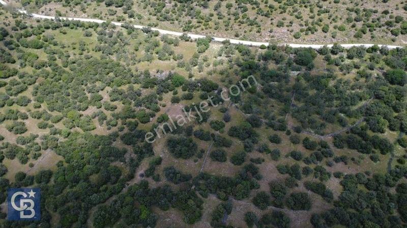 Hacıömerlide Satılık 20.000m2 Yola Cephe Satılık Arazi — fotoğraf 28