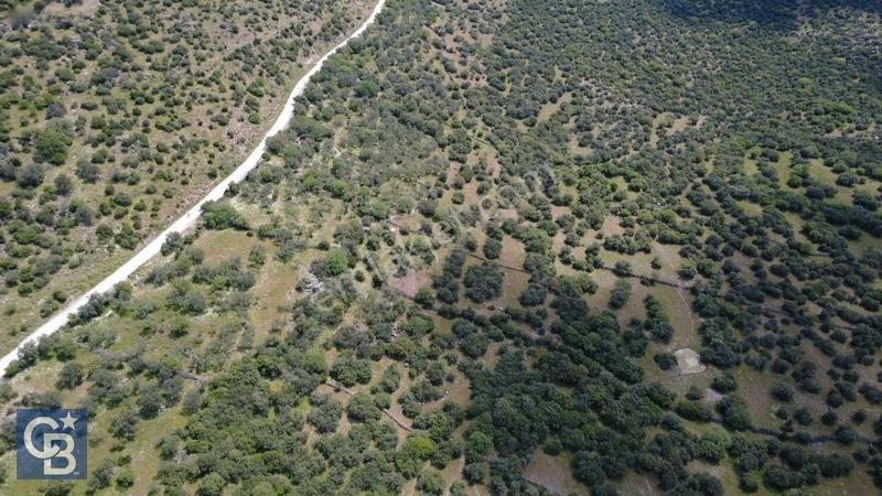 Hacıömerlide Satılık 20.000m2 Yola Cephe Satılık Arazi — fotoğraf 29