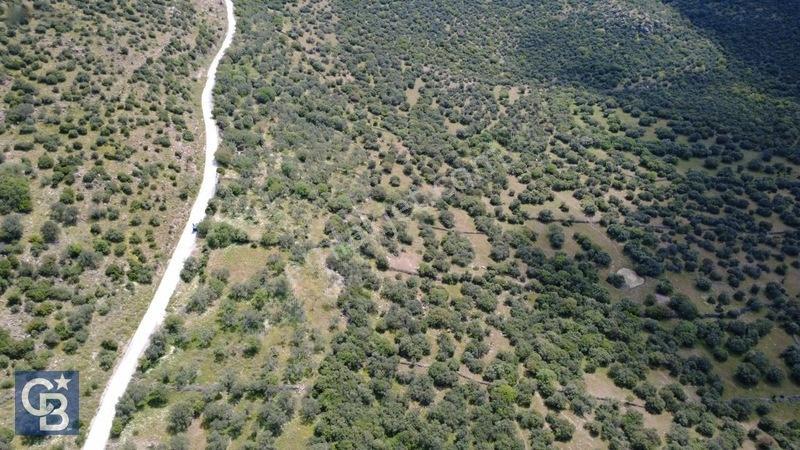 Hacıömerlide Satılık 20.000m2 Yola Cephe Satılık Arazi — fotoğraf 30
