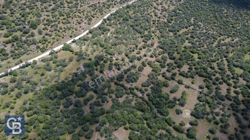 Hacıömerlide Satılık 20.000m2 Yola Cephe Satılık Arazi — fotoğraf 31