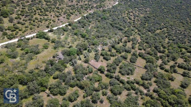 Hacıömerlide Satılık 20.000m2 Yola Cephe Satılık Arazi — fotoğraf 32