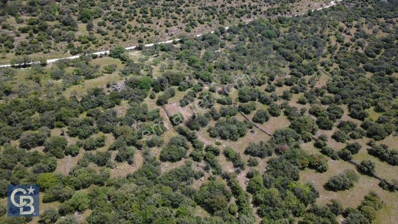 Hacıömerlide Satılık 20.000m2 Yola Cephe Satılık Arazi — fotoğraf 33