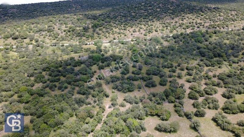 Hacıömerlide Satılık 20.000m2 Yola Cephe Satılık Arazi — fotoğraf 34