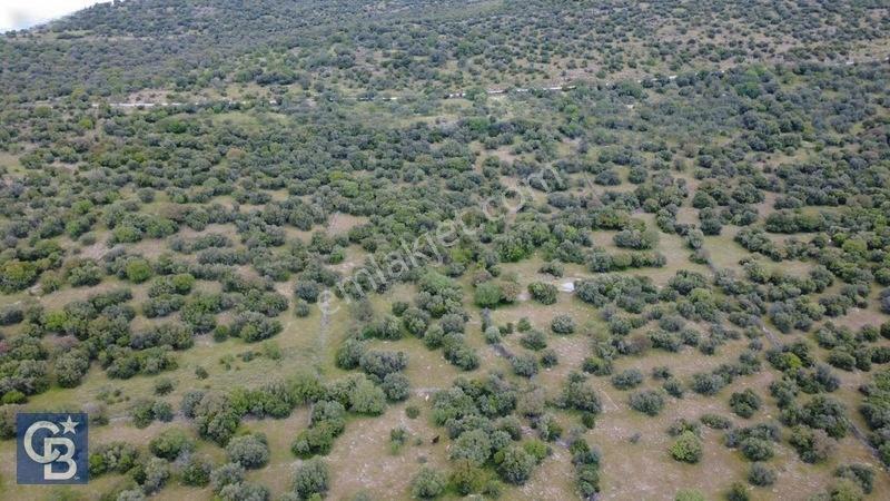 Hacıömerlide Satılık 20.000m2 Yola Cephe Satılık Arazi — fotoğraf 35