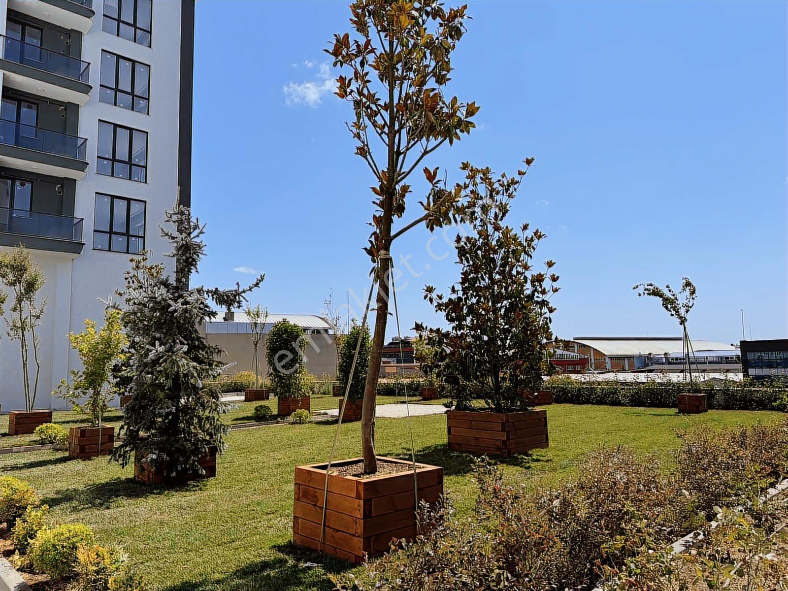 Sancaktepe Cadde Üzeri Sitede Satılık Geniş 1+1 Daire — fotoğraf 33