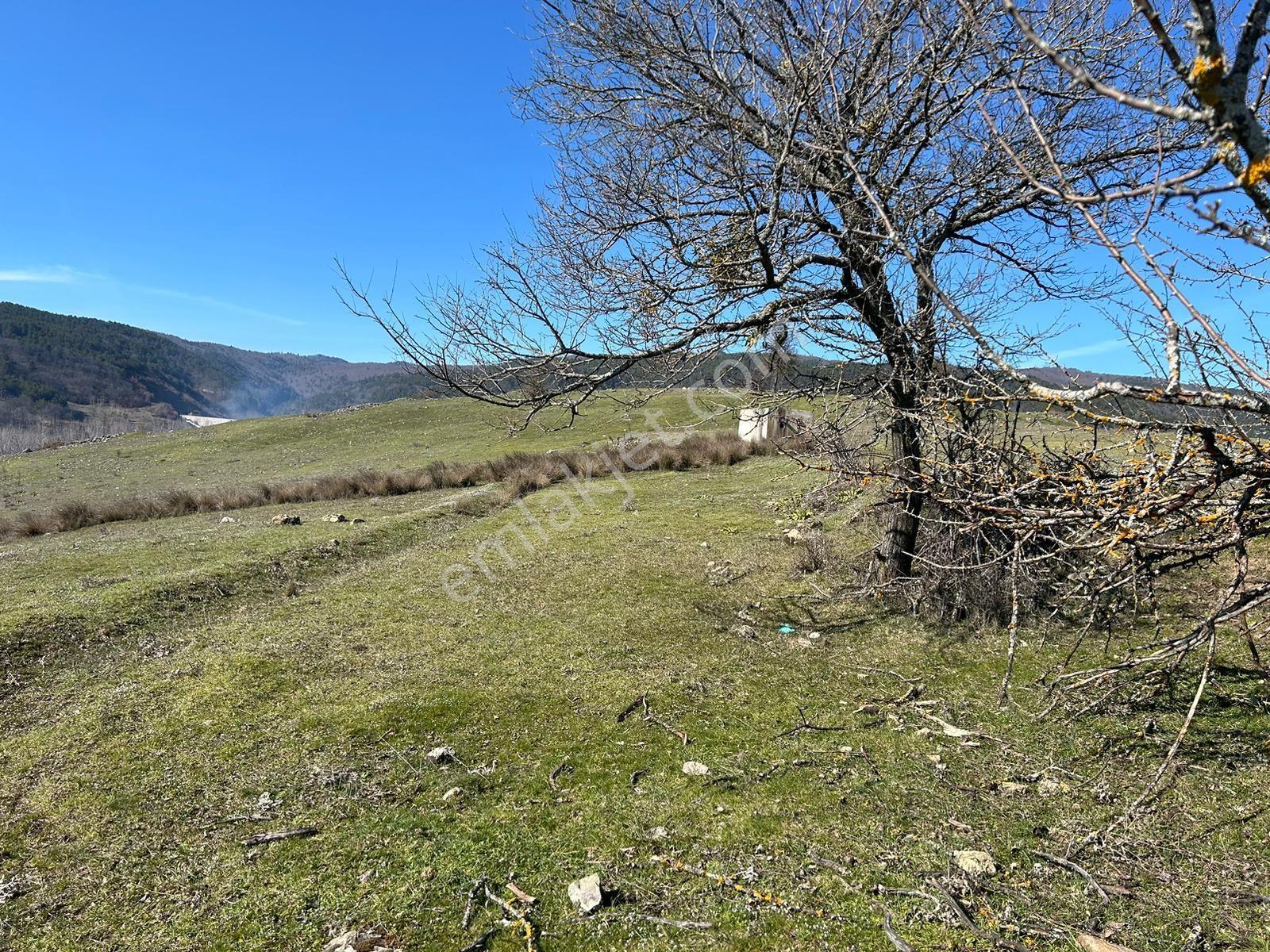 Pamukova Çileklide Benim Niye Tarlam Yok Demeye Son — fotoğraf 19