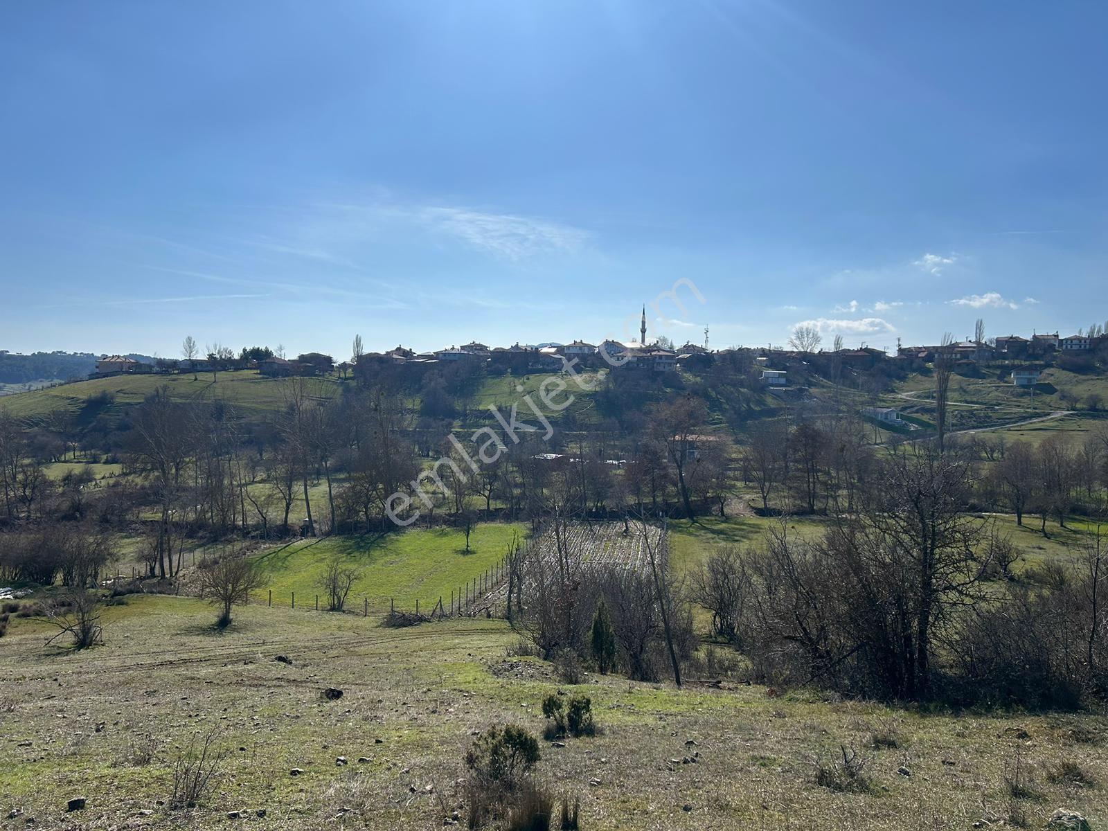 Pamukova Çileklide Benim Niye Tarlam Yok Demeye Son — fotoğraf 28