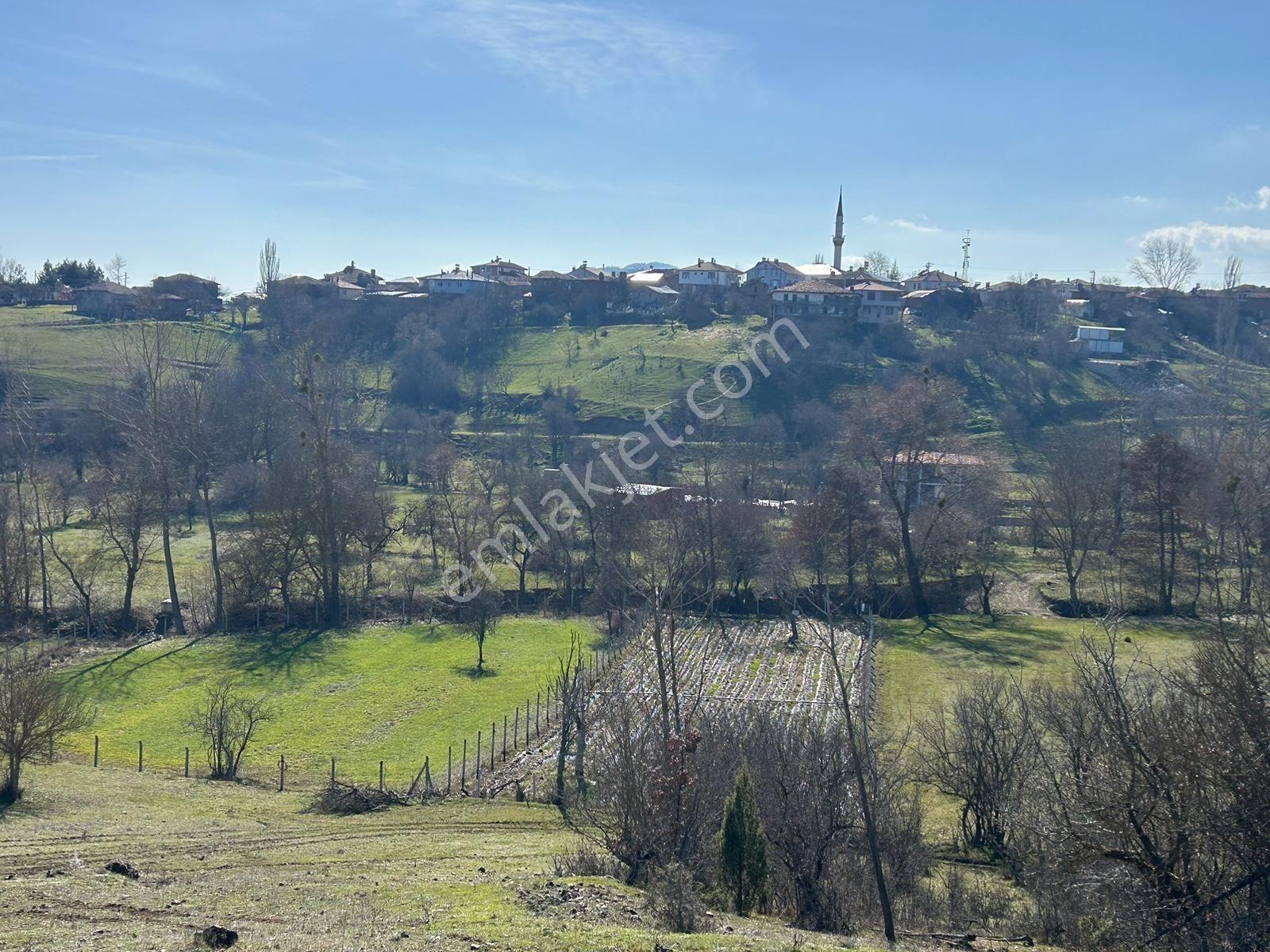 Pamukova Çileklide Benim Niye Tarlam Yok Demeye Son — fotoğraf 31