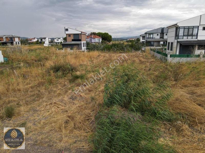 Ayvalık Altınovada Satılık Arsa Denize Yürüme Mesafesinde — fotoğraf 9