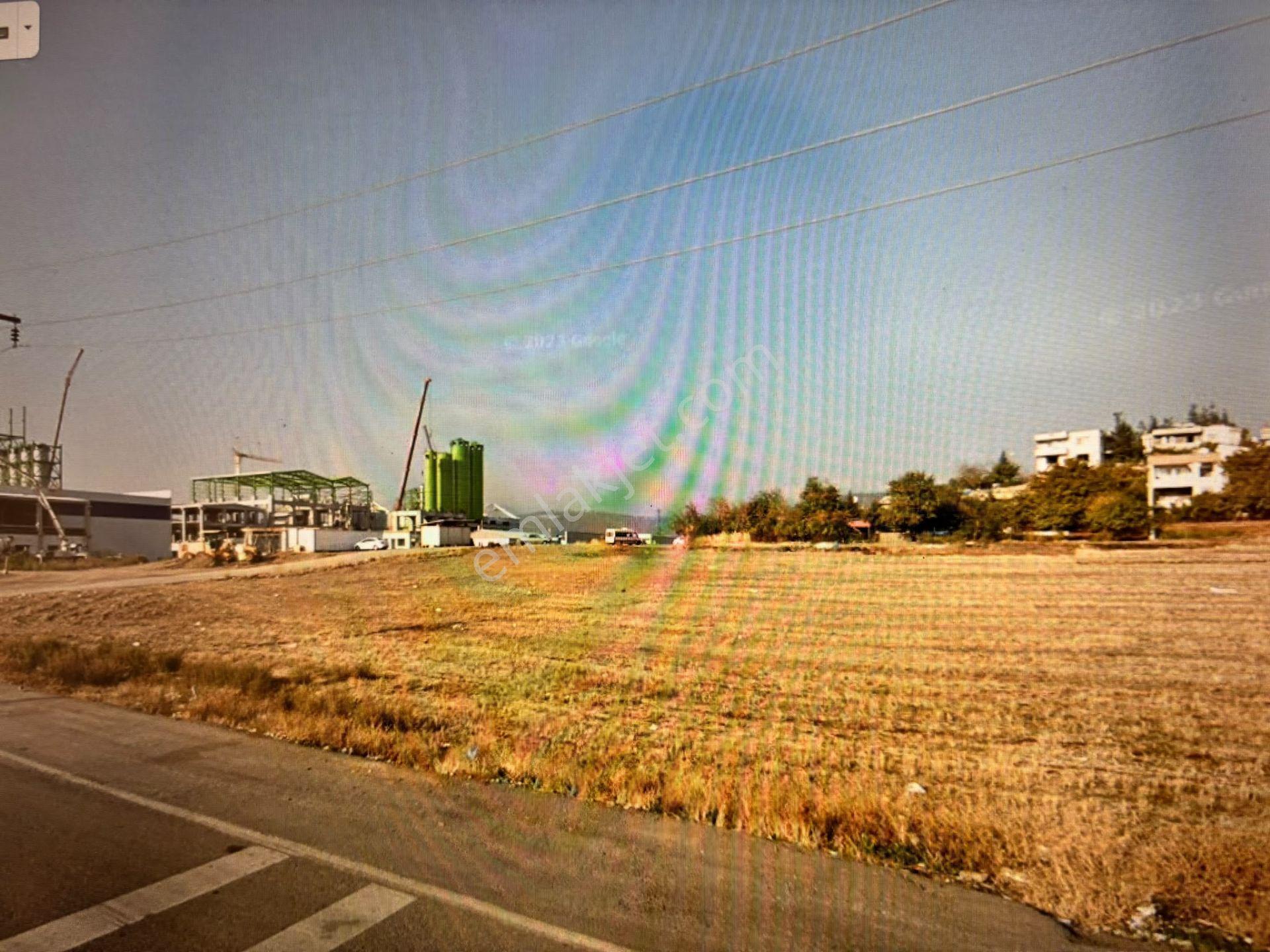 Kipaş Nişasta Fabrikası Yanında Satılık 8000m2 Nitelikli Arsa 110.000.000tl — fotoğraf 3