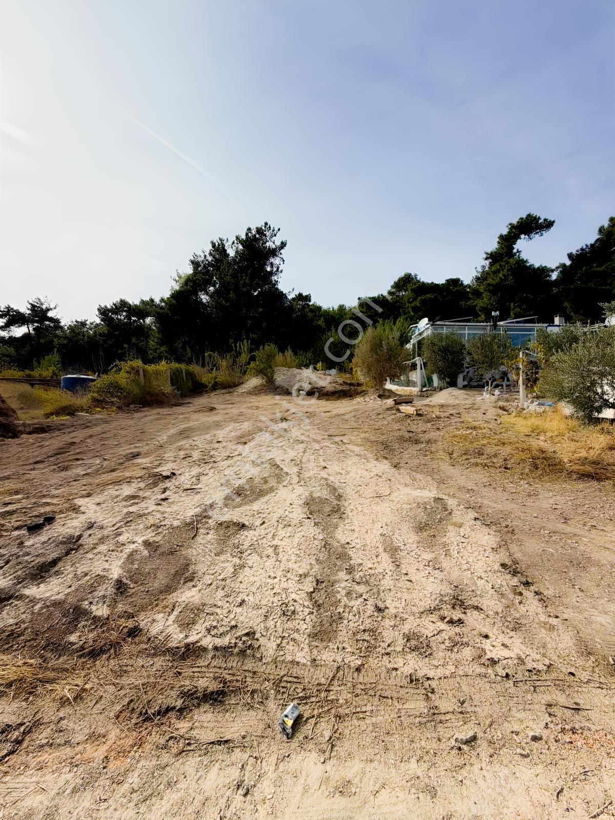 Yakaköyde 333 M² Doğayla İç İçe, Suyu Bulunan Bahçe — fotoğraf 2