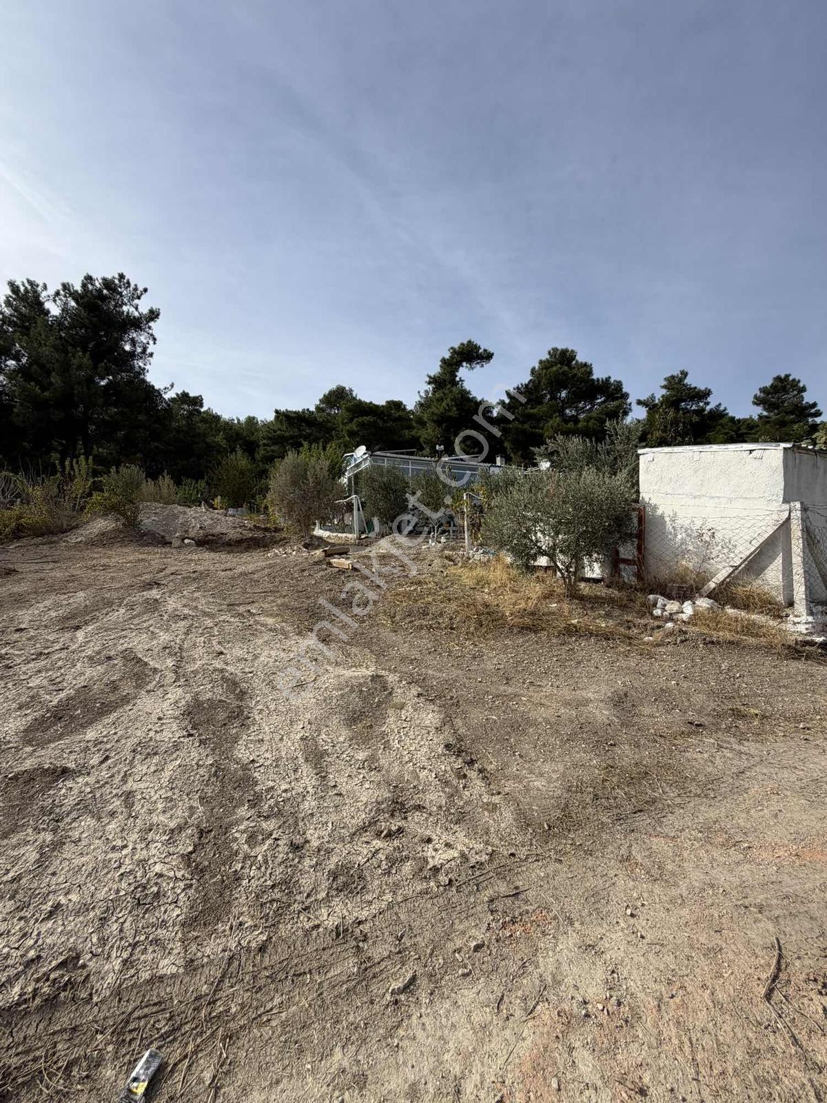 Yakaköyde 333 M² Doğayla İç İçe, Suyu Bulunan Bahçe — fotoğraf 3
