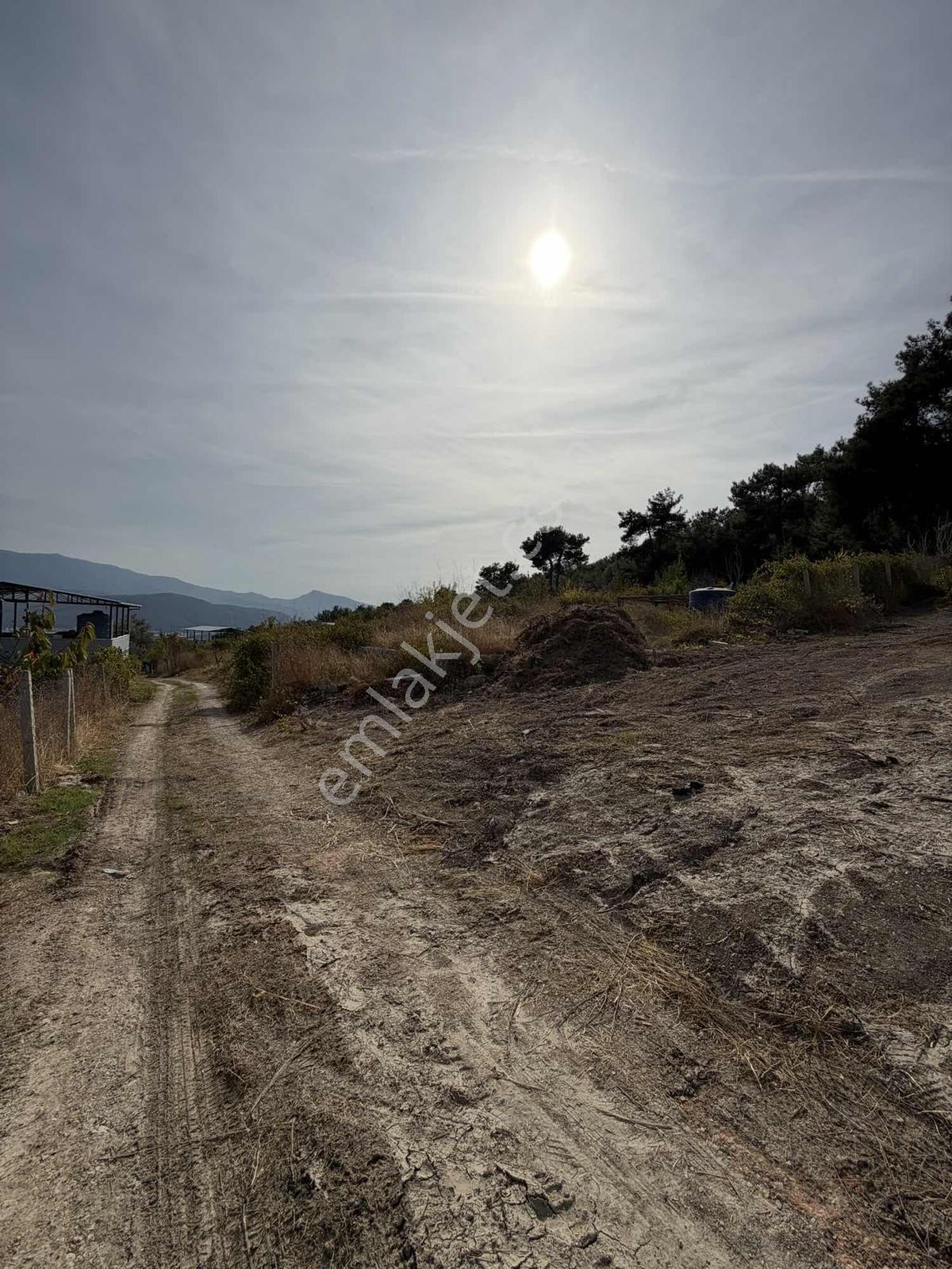 Yakaköyde 333 M² Doğayla İç İçe, Suyu Bulunan Bahçe — fotoğraf 5