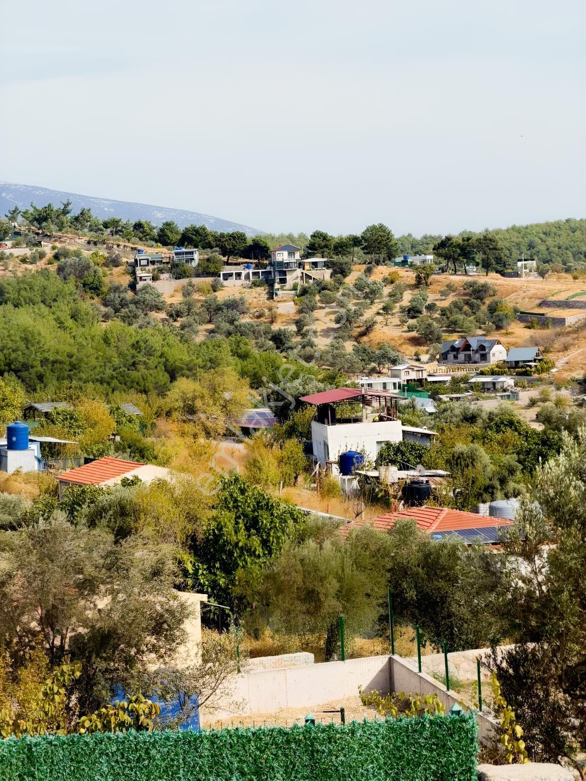Yakaköyde 333 M² Doğayla İç İçe, Suyu Bulunan Bahçe — fotoğraf 11