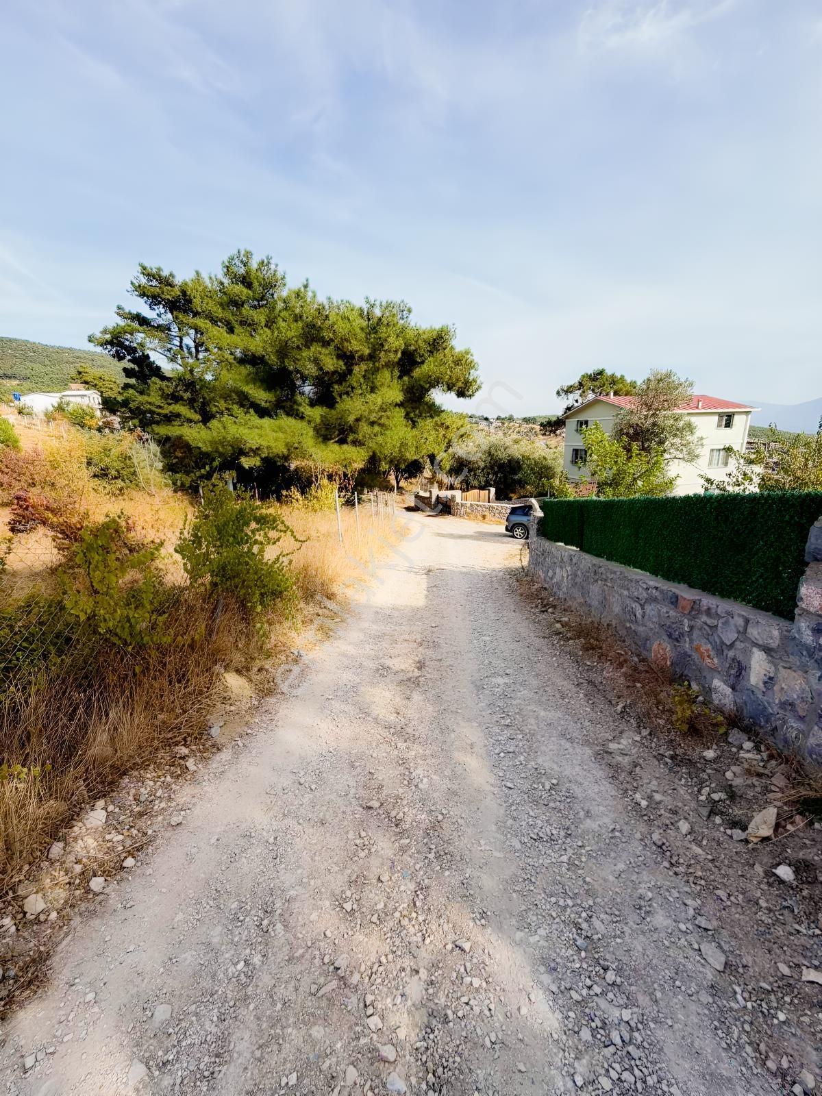 Yakaköyde 333 M² Doğayla İç İçe, Suyu Bulunan Bahçe — fotoğraf 13