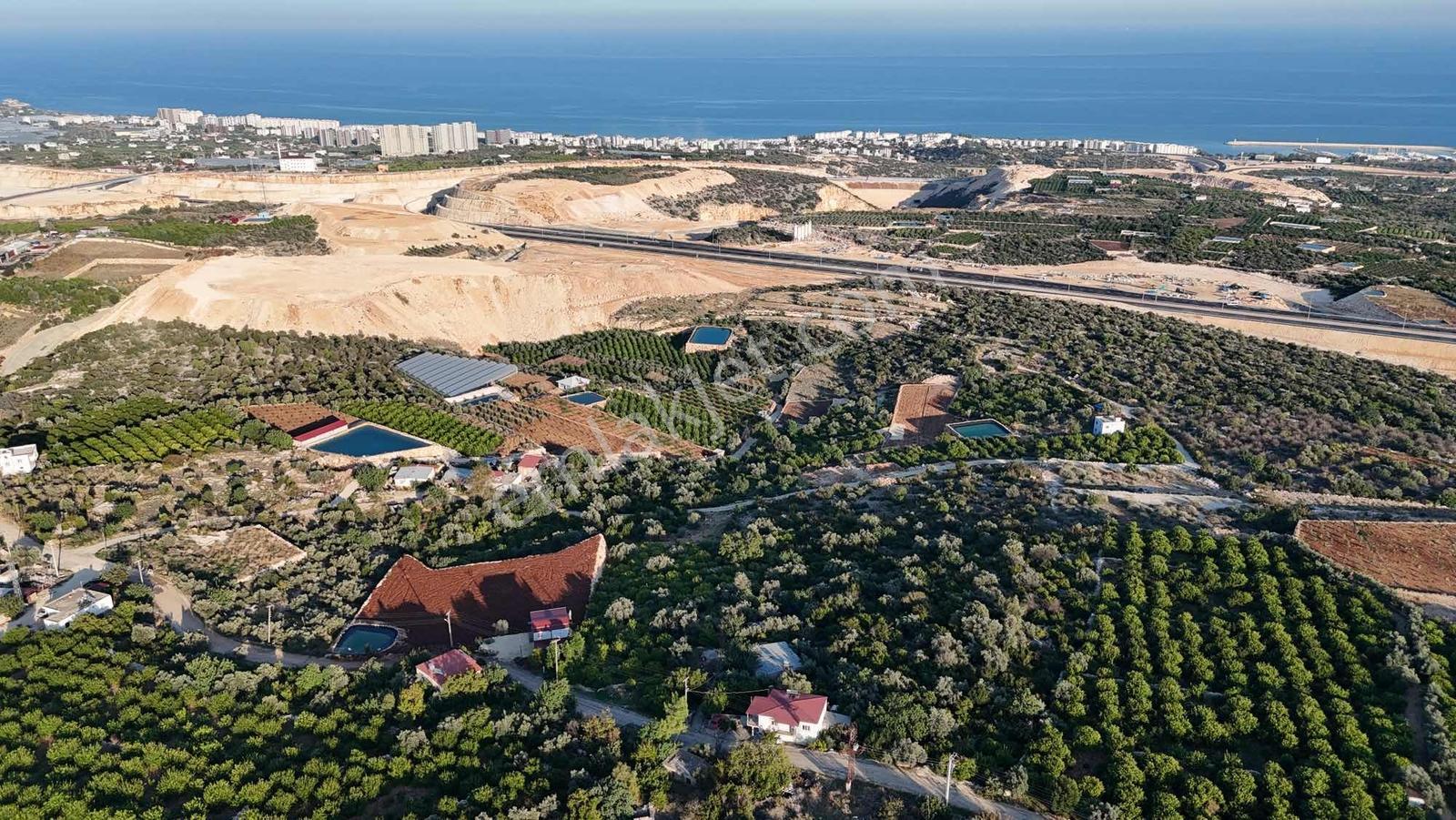 |ctn| Tırtar Ful Dnz Manz. 2400m2 İmar Sınırında Limon Bahçesi — fotoğraf 2