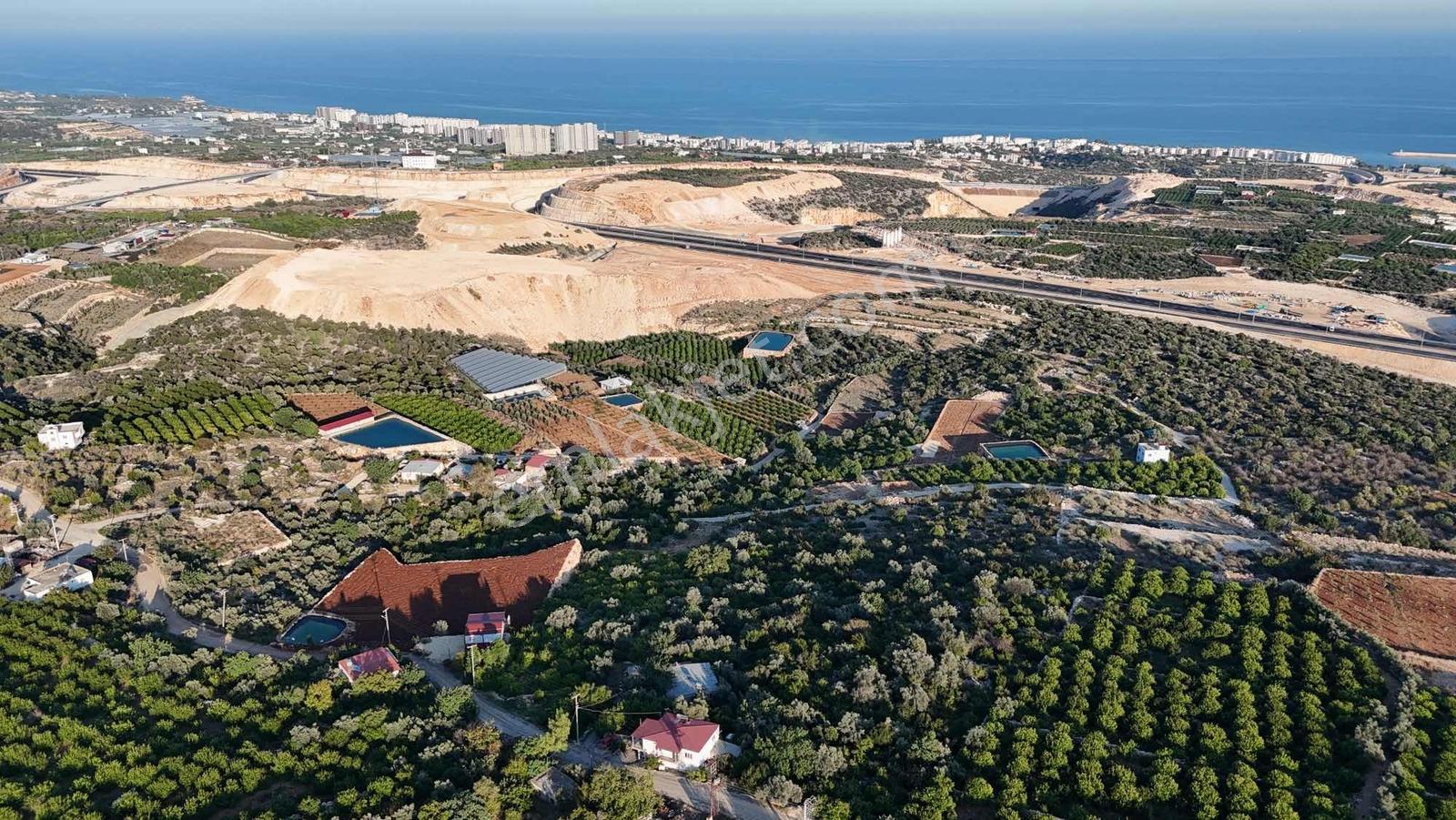 |ctn| Tırtar Ful Dnz Manz. 2400m2 İmar Sınırında Limon Bahçesi — fotoğraf 3