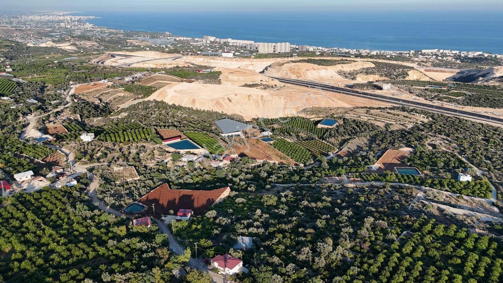 |ctn| Tırtar Ful Dnz Manz. 2400m2 İmar Sınırında Limon Bahçesi — fotoğraf 4